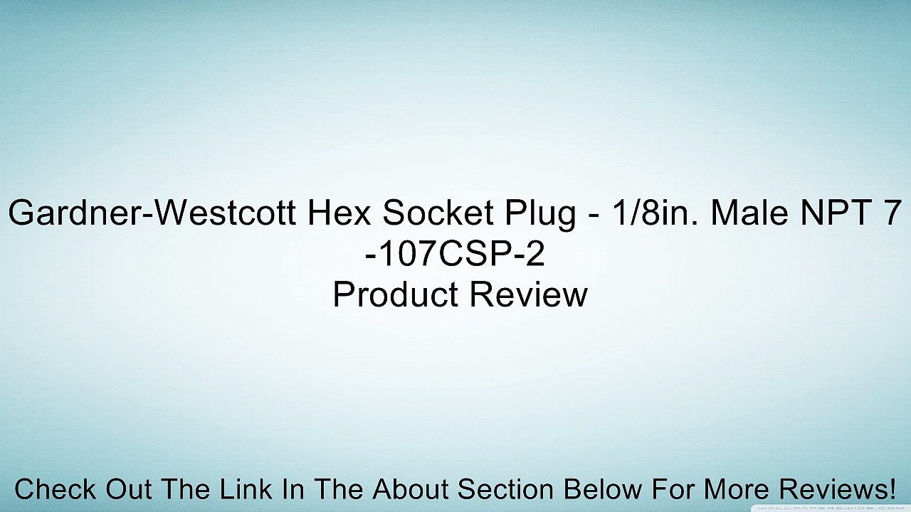 Gardner-Westcott Hex Socket Plug - 1/8in. Male NPT 7-107CSP-2 Review