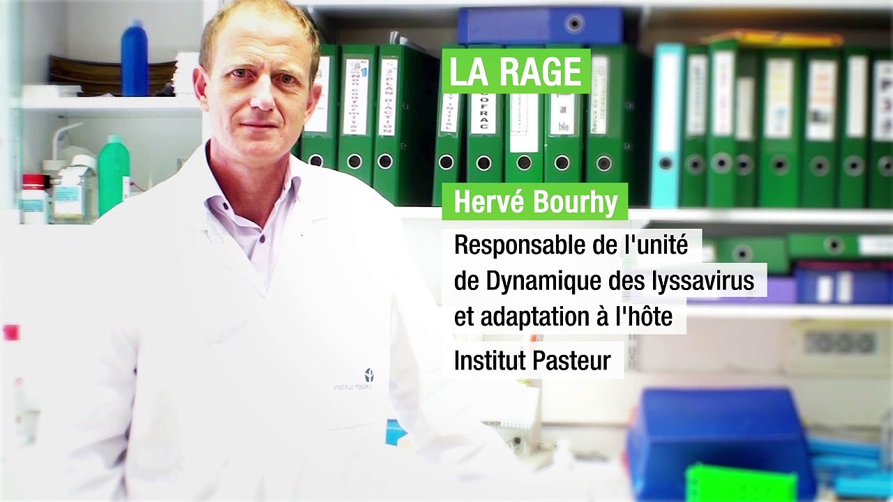 Institut Pasteur - La rage - Hervé Bourhy