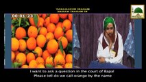 Madani Muzakray Ki Madani Mehak 116 - Orange Kay Fawaid - Maulana Ilyas Qadri