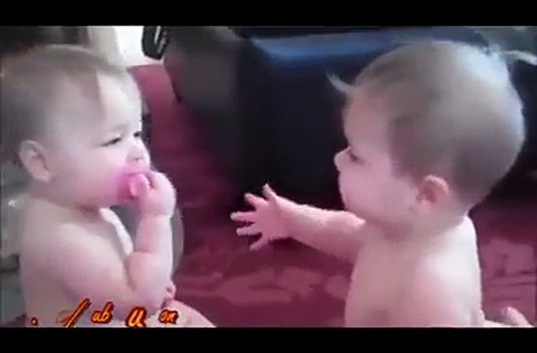 Funny Videos