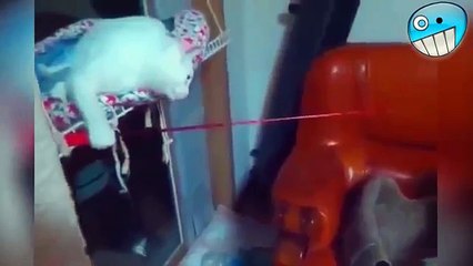 DoMaze _ Home - Best Videos Collection_2