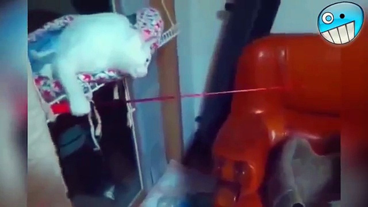 DoMaze _ Home - Best Videos Collection_2