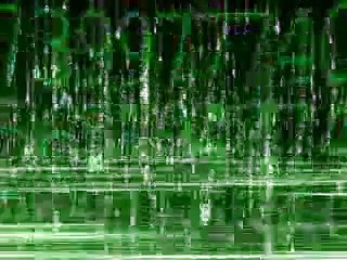 Star Wars Kid - Matrix