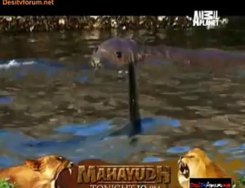 Mystery Of The Lost Islands 20th January 2015 Video Watch Online Pt3