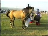 Sahibzada Sultan Ahmad Ali Sahib (M H Sultania Awan Horse Club of Hazrat Sakhi Sultan Bahoo R.A)