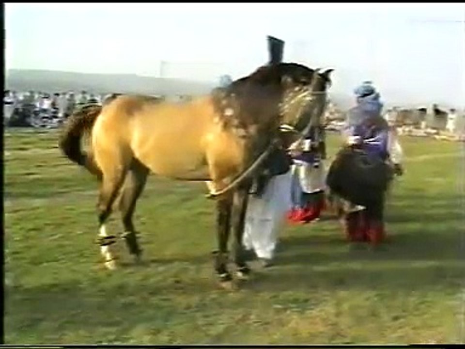 Sahibzada Sultan Ahmad Ali Sahib (M H Sultania Awan Horse Club of Hazrat Sakhi Sultan Bahoo R.A)