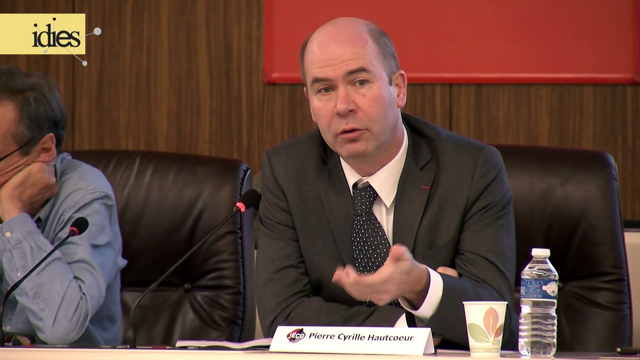 Rencontres Idies 2014 : Pierre-Cyrille Hautcoeur