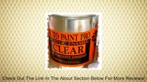 Auto Paint Enamel Clear Coat Review