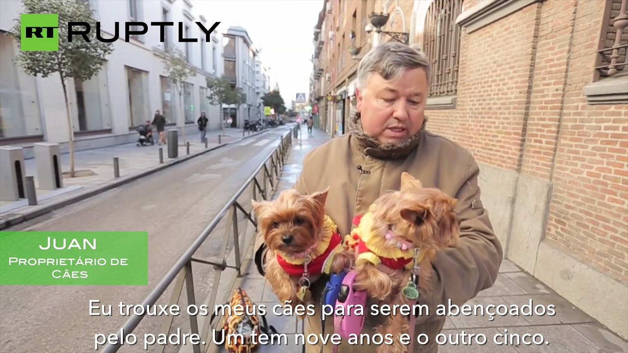 Animais de estimação benzidos na Espanha