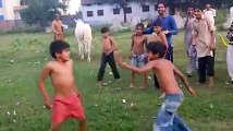 Pand k bachon ki Fighting Very nice Funny Video