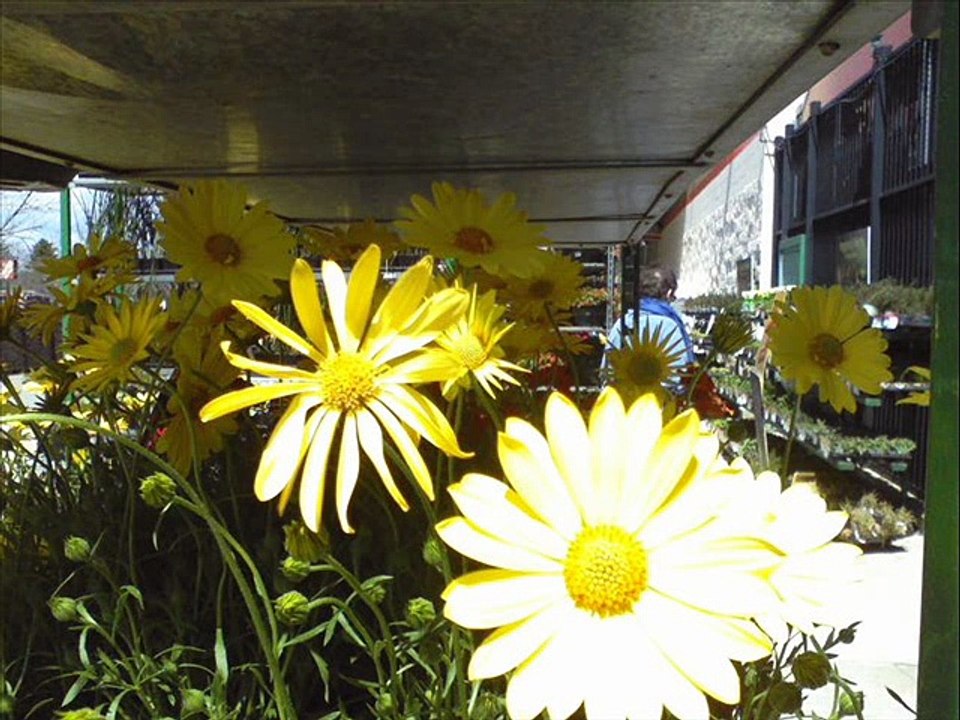 Flip Phone Camera Finds Geometry Everywhere: A Slideshow