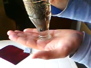 Truco de magia: Anti gravedad.