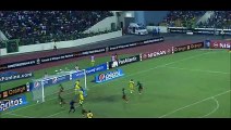 Goal Oyongo - Mali 1-1 Cameroon - 20-01-2015 (Africa Cup of Nations)