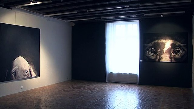 Des toiles au stylo bille