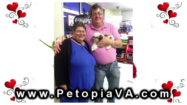Puppies For Sale Henrico VA | Petopia | 866.738.7972