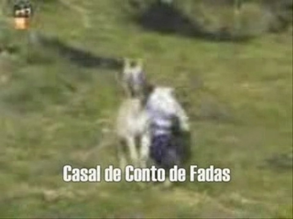 Burro Esperto
