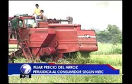 CONARROZ acusa al MEIC de manipular información sobre el precio del arroz