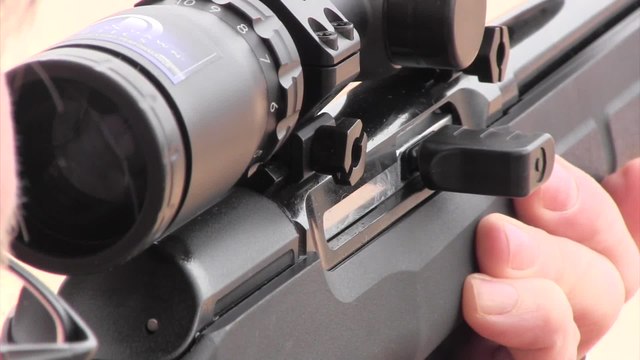 New Semi-Automatic Rifle: Savage .17 HMR