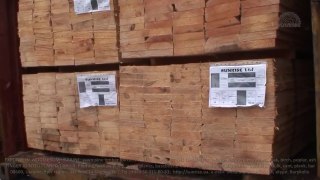 Exports sawn pine timber (antiseptic) Ukraine to: Turkey, Lebanon, Israel, Egypt, Saudi Arabia, Pakistan, UAE, Kuwait, Qatar, Oman, India, China.