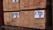 Exports sawn pine timber (antiseptic) Ukraine to: Turkey, Lebanon, Israel, Egypt, Saudi Arabia, Paki
