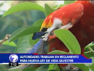 Escasez de recursos frena al SINAC tras aprobación de ley de vida silvestre