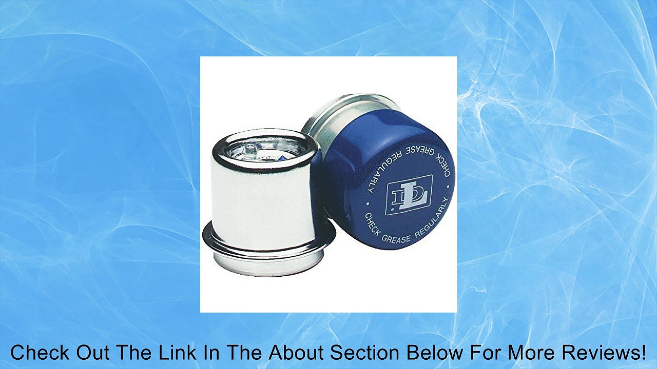 Dutton Lainson 6333 Wheel Bearing Protector Review