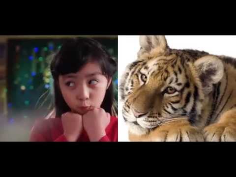 《奇妙的朋友》看点 Wonderful Friends 01/24 Preview: 萌童喊你看萌宠-Cute Kids Pet Show Invitation【湖南卫视官方版】