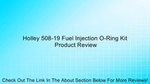 Holley 508-19 Fuel Injection O-Ring Kit Review