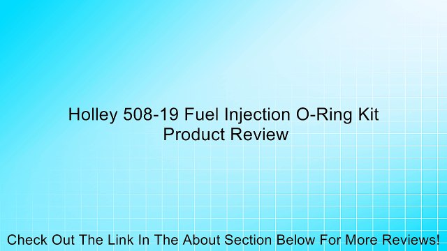 Holley 508-19 Fuel Injection O-Ring Kit Review