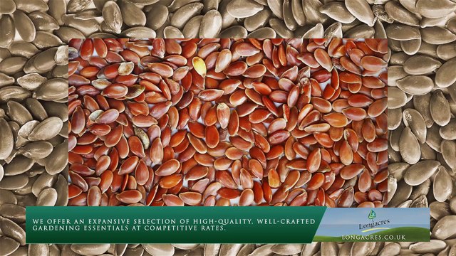 Longacres Garden Centre is the high quality plants and seeds to wild bird feeders