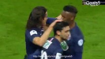 Edison Cavani Goal PSG 1 - 0 Bordeaux Coupe de France 21-1-2015