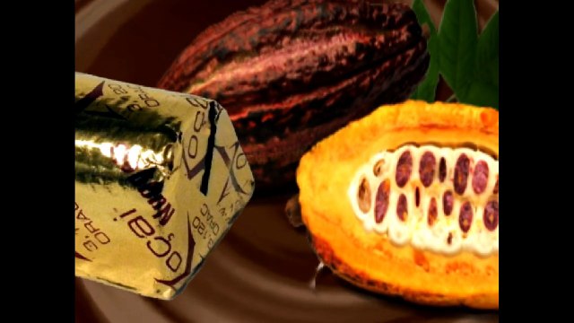 Antioxidant Foods for Healthier and Younger Skin