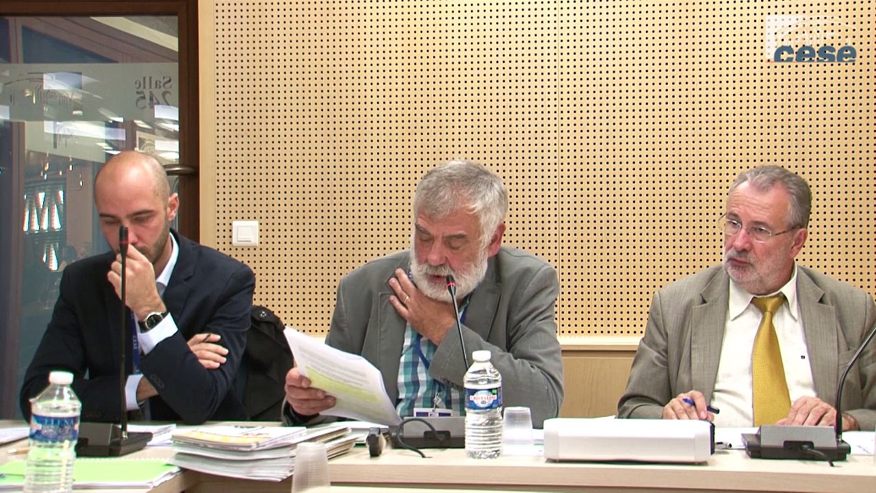 Audition de Bernard PINAUD (CCFD-Terre solidaire) et Renaud BETTIN (GERES) - cese