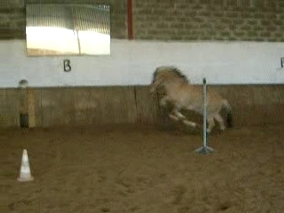 50 cm