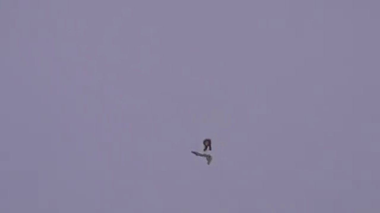 UFO. message? ebani. Robert Bingham Commentaire.07.01.2015