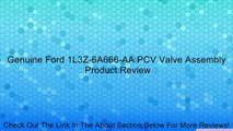 Genuine Ford 1L3Z-6A666-AA PCV Valve Assembly Review