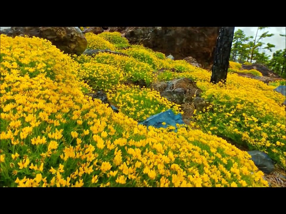 Abu bakr (terza ed ultima parte)