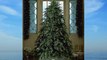 GKI Bethlehem Lighting 9-Foot PE/PVC Pre-Lit Christmas Tree with 1250 Clear Mini   Hunter Fir