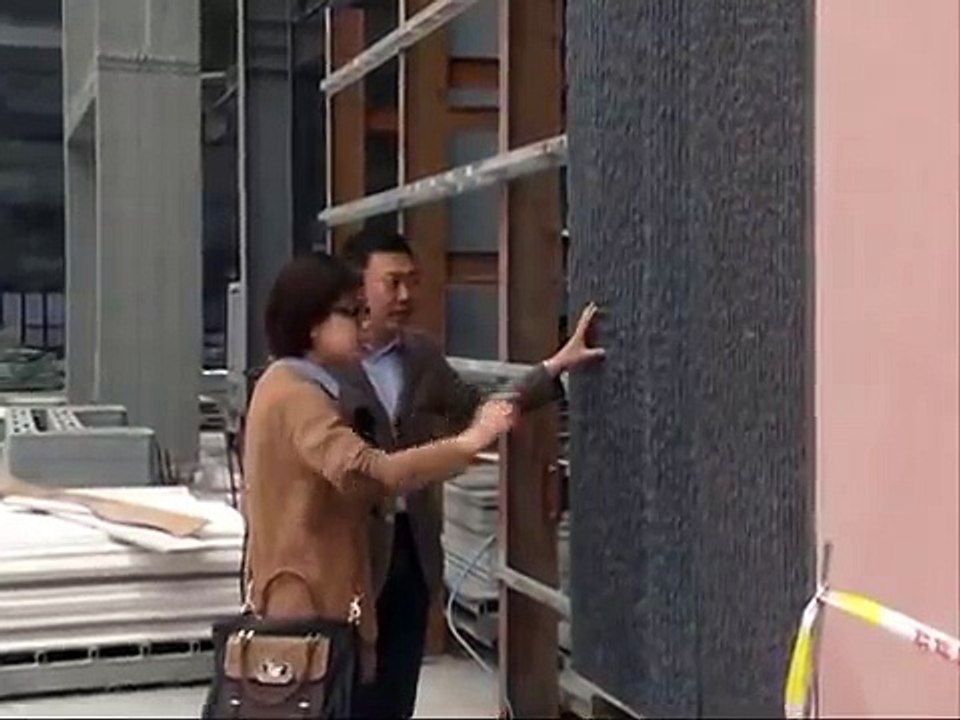 10 maisons fabriquées avec une imprimante 3D