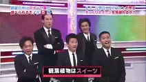 Japanese Celebrities Try To Guess Whether An Everyday Object Is Made Of Candy Or Not