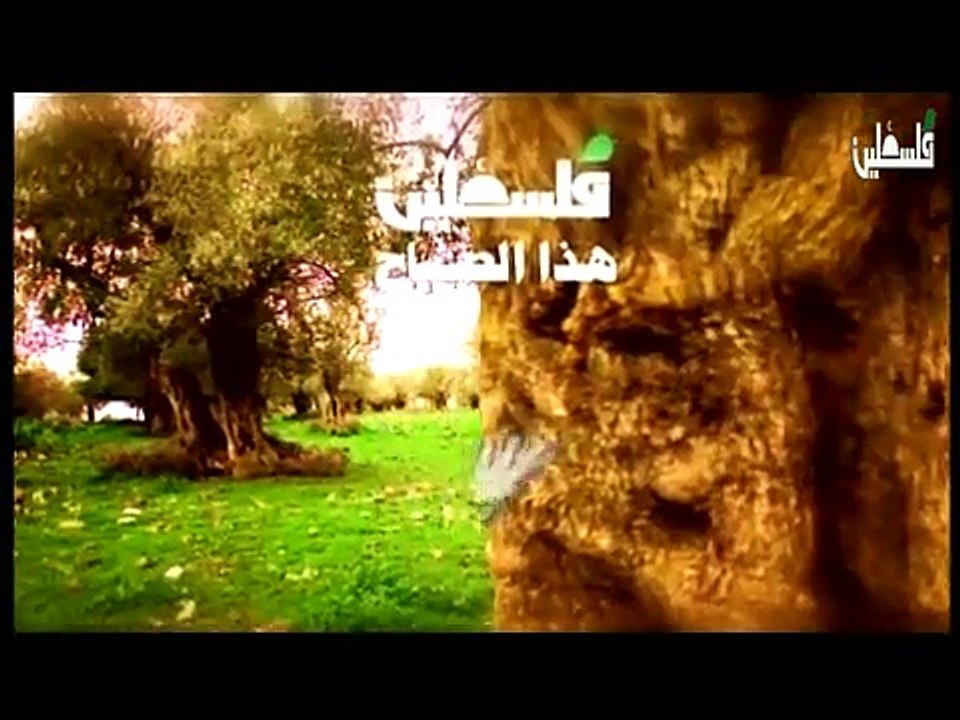 هذا الصباح الاربعاء - 21-1-2015  ح1