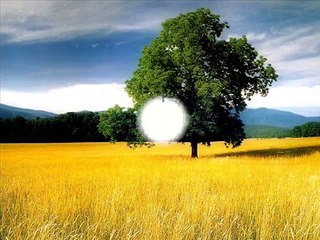 Who, on earth, erases sins - Arabic Christian Song