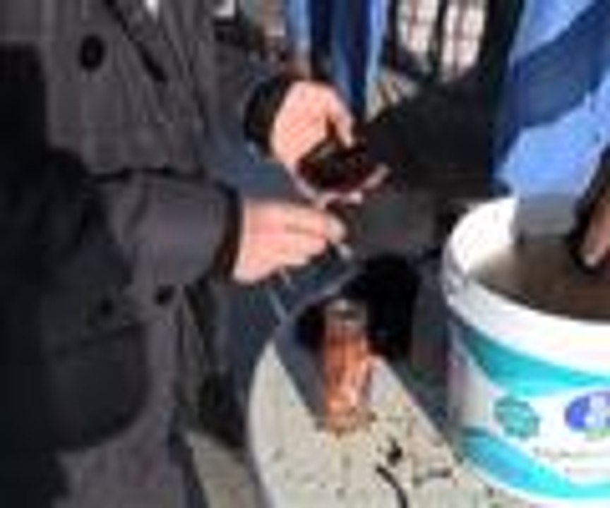Mavi suların kara dikeni