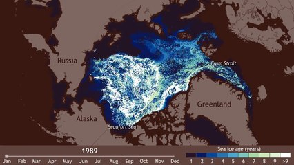 Fonte des glaces en Arctique : 1987 - 2014