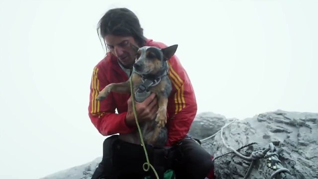 Man and dog parachute flying