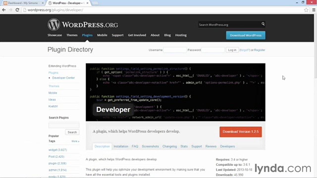 Building Theme from Scratch with underscore lecture 7 developer plugin