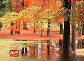 Naat BY SOHAIL AHMAD