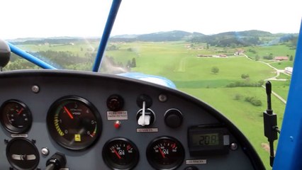 Ulm savannah attero Fournet-blancheroche