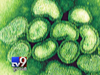 Video herunterladen: What is swine flu and what are the symptoms ? - Tv9 Gujarati