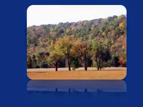 יואל גבאי - מה צריך לדעת על הקרקעות החקלאיות?